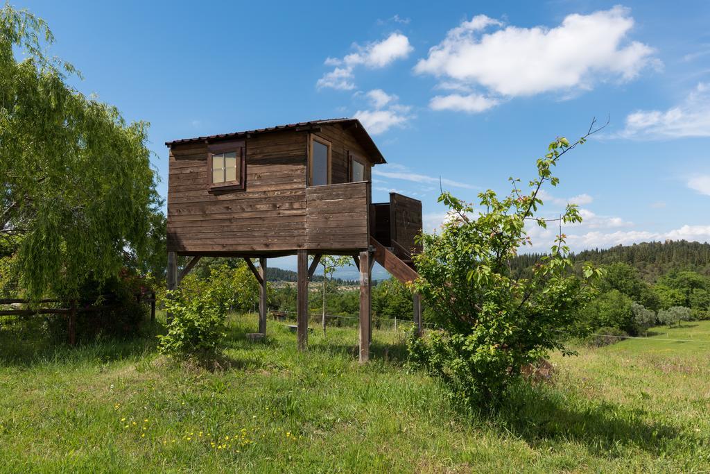 Вилла Azienda Agrituristica Bellavista Монтеспертоли Экстерьер фото