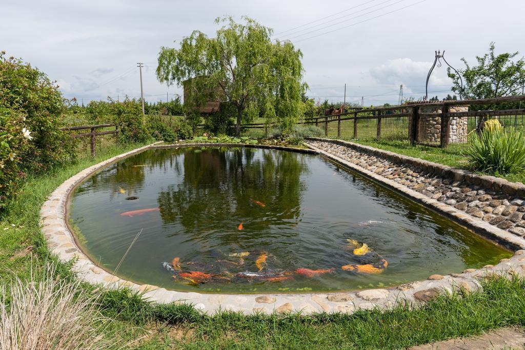 Вилла Azienda Agrituristica Bellavista Монтеспертоли Экстерьер фото
